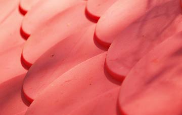 Hakin plastic roof costs