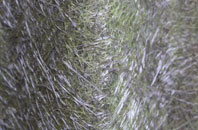 Hakin fibreglass roof work